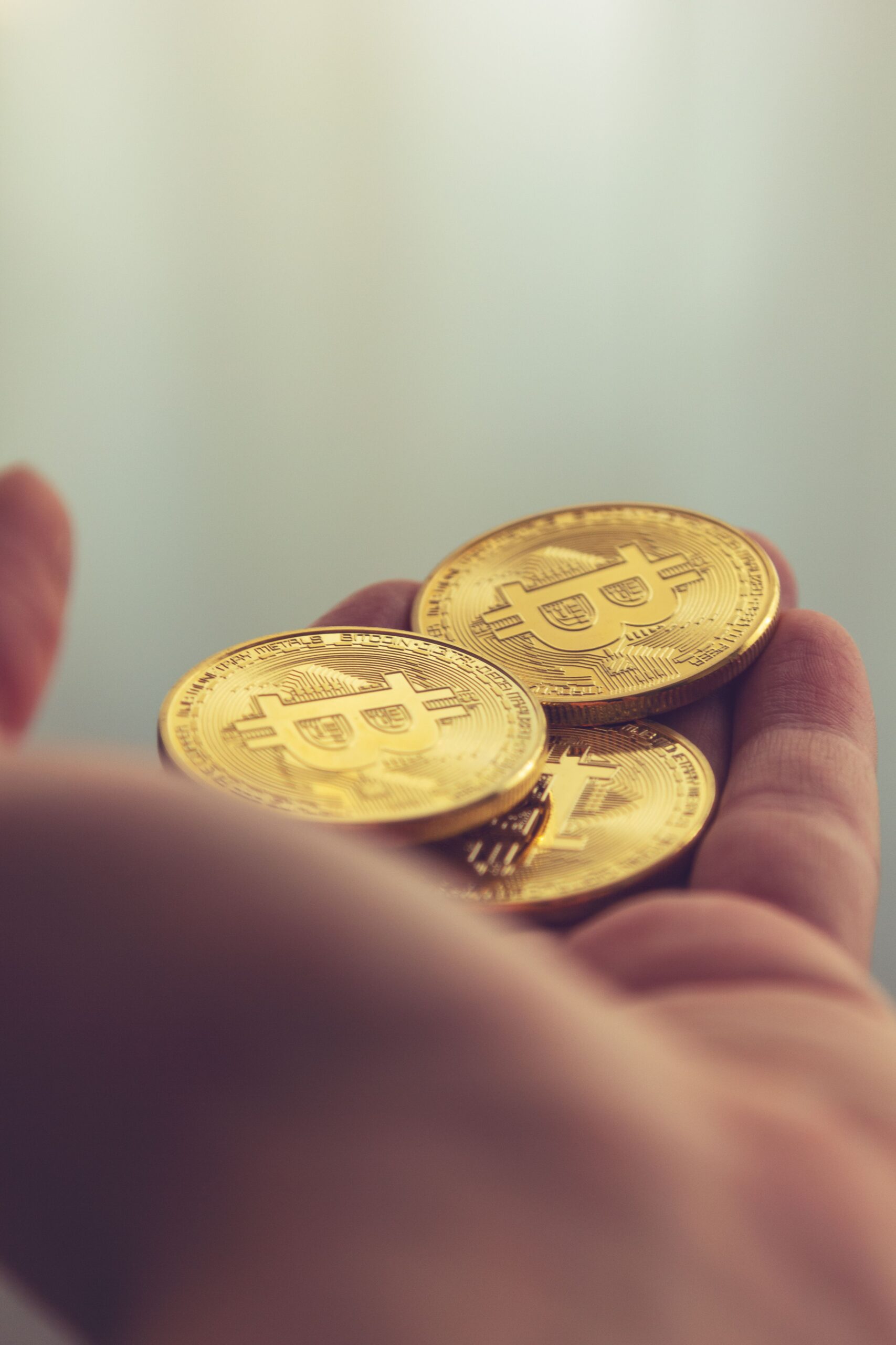 Bitcoin vs Gold: Which Is the Better Investment in 2026?